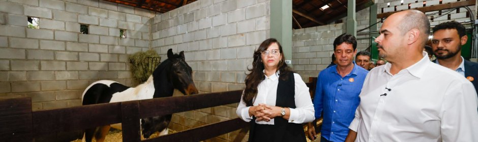 Equoterapia ganha novo espaço na Fundação Helena Antipoff - Imagem do artigo