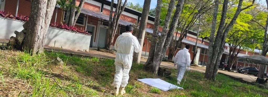 Febre maculosa: SRS Alfenas capacita profissionais regionais - Imagem do artigo