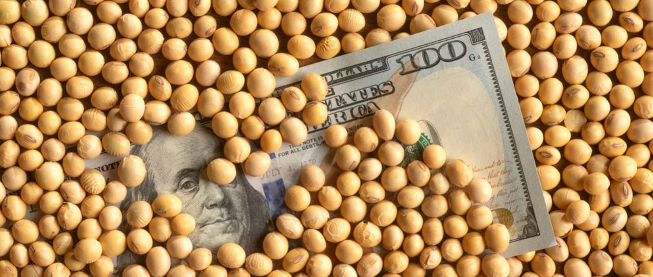 Soja: Agricultores argentinos adiam vendas à espera de câmbio - Imagem do artigo