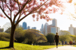 Imagem ilustrativa: Belo Horizonte celebra a primavera com o Circuito das Estações em setembro