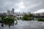Imagem ilustrativa: Chuva na manhã desta quinta-feira em Belo Horizonte traz alívio para período seco