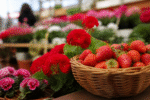 Imagem ilustrativa: Festa de flores e morangos de Atibaia traz novidades e celebra a cultura local