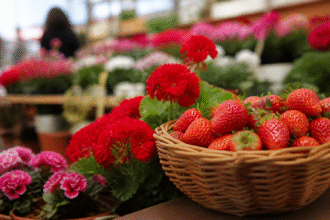 Imagem ilustrativa: Festa de flores e morangos de Atibaia traz novidades e celebra a cultura local