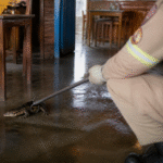 Imagem ilustrativa: Lagarto entra em bar e mobiliza bombeiros em mg após ser confundido com jacaré