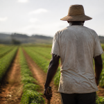 Imagem ilustrativa: Minas Gerais resgata mais de 56 mil trabalhadores de condições análogas à escravidão em 13 anos