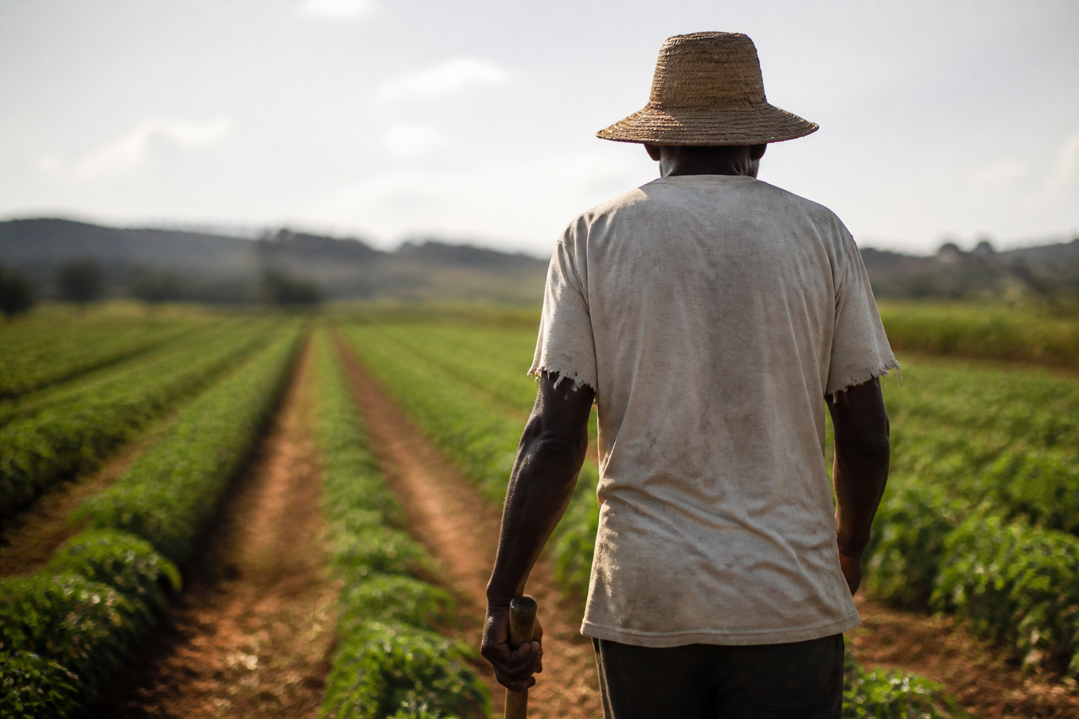 Imagem ilustrativa: Minas Gerais resgata mais de 56 mil trabalhadores de condições análogas à escravidão em 13 anos