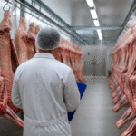 Imagem ilustrativa: Brasil cria protocolo para voltar a exportar carne bovina à União Europeia e atender novas exigências