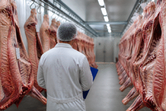 Imagem ilustrativa: Brasil cria protocolo para voltar a exportar carne bovina à União Europeia e atender novas exigências