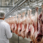 Imagem ilustrativa: Brasil expressa preocupação diante da suspensão das compras de carne pela União Europeia