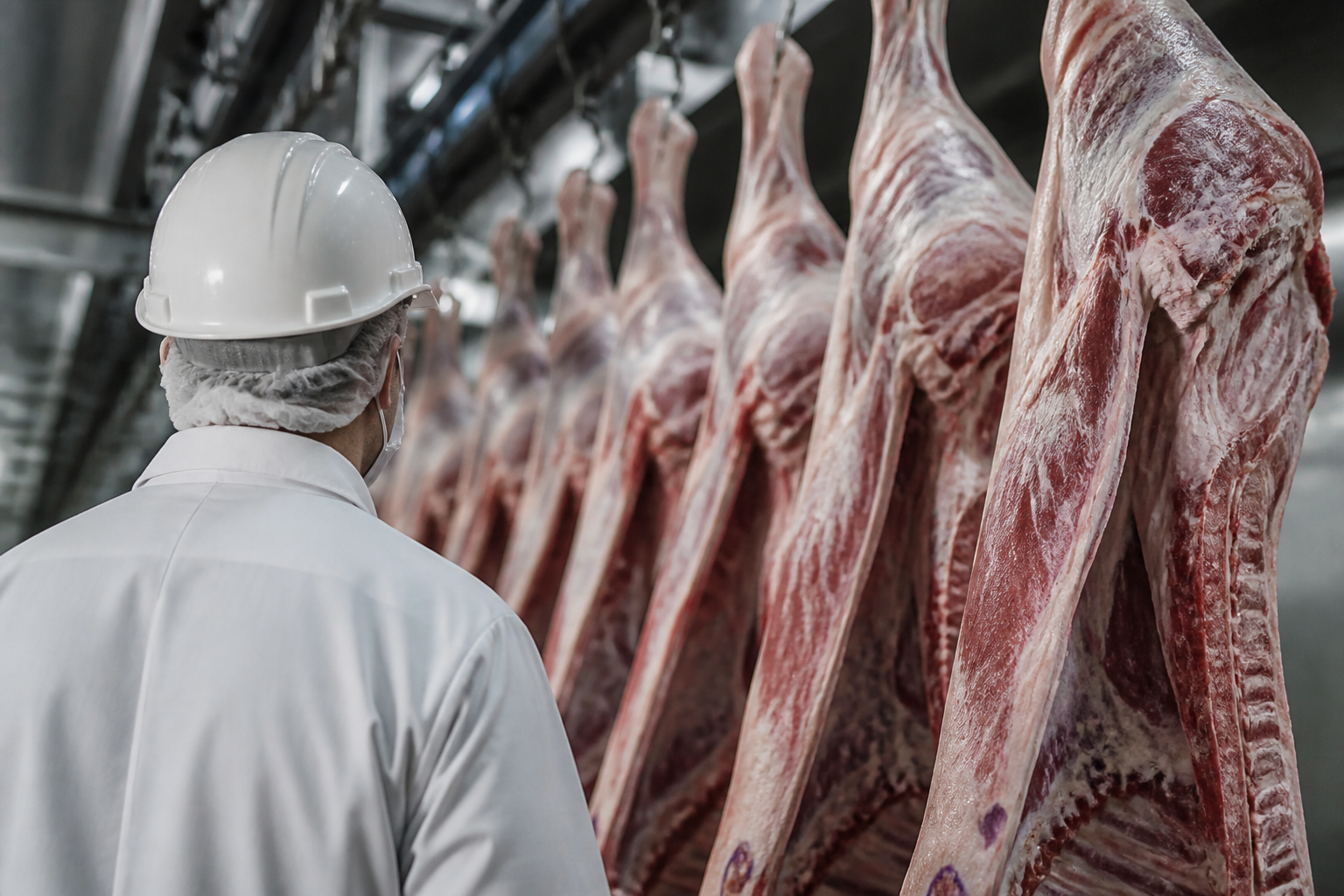 Imagem ilustrativa: Os possíveis caminhos para o fim do embargo europeu à carne brasileira