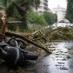 Imagem ilustrativa: Queda de árvore de grande porte no Santa Efigênia causa danos a motocicletas em Belo Horizonte