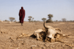 Imagem ilustrativa: Seca histórica afeta a região de Darfur e agrava crise humanitária no sudão
