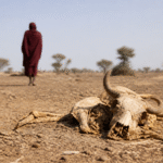 Imagem ilustrativa: Seca histórica afeta a região de Darfur e agrava crise humanitária no sudão