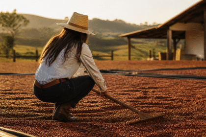 Imagem ilustrativa: Menina conquista seguidores ao mostrar rotina na fazenda com secagem do café e cuidados animais