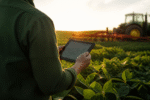 Imagem ilustrativa: Senar e-Tec abre vagas para cursos técnicos gratuitos no agronegócio em 2027